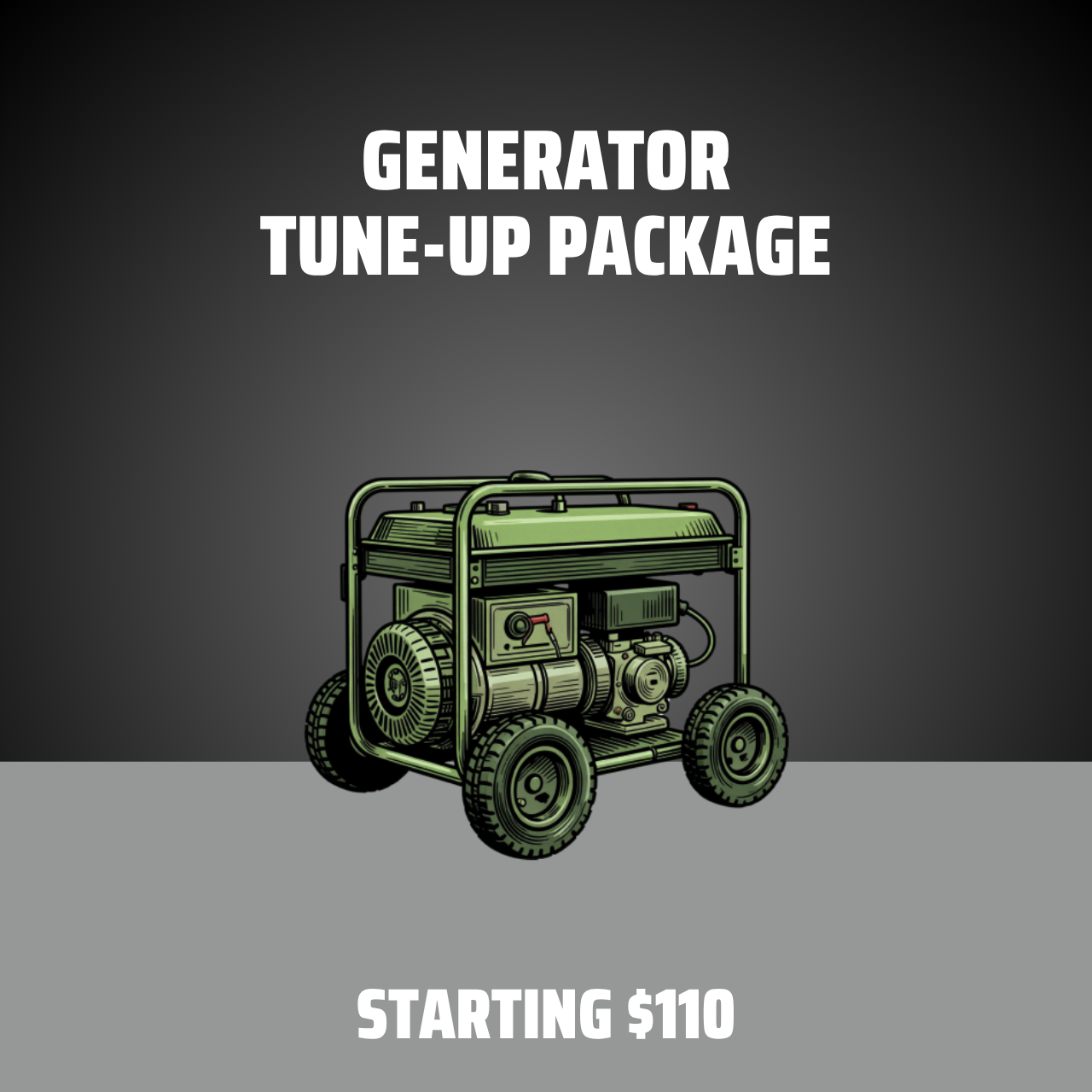 Generator Tune-Up Pkg.